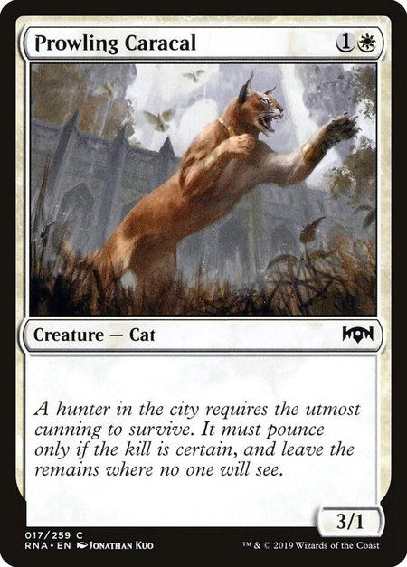 Prowling Caracal - Ravnica Allegiance Magic: The Gathering trading card