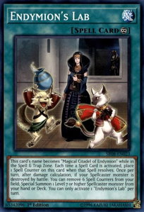 Endymion's Lab - Structure Deck: Order of the Spellcasters (SR08) #SR08-EN023 - Common / Short Print YuGiOh Trading Card
