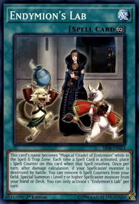 Endymion's Lab - Structure Deck: Order of the Spellcasters (SR08) #SR08-EN023 - Common / Short Print YuGiOh Trading Card