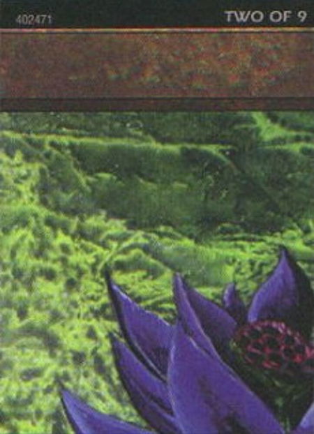 Black Lotus (2 of 9) (Ultra Pro Puzzle Quest) - Media Promos Magic: The Gathering trading card