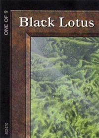 Black Lotus (1 of 9) (Ultra Pro Puzzle Quest) - Media Promos (MEDIA) #1 - Special Magic: The Gathering Trading Card