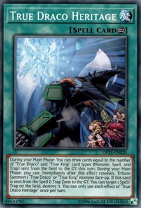True Draco Heritage - OTS Tournament Pack 11 (OP11) #OP11-EN020 - Common / Short Print YuGiOh Trading Card