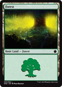 Forest (063) - Magic Game Night 2019 (GN2) #63 - Land Magic: The Gathering Trading Card