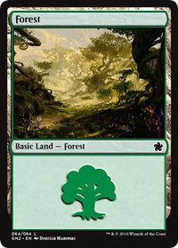 Forest (064) - Magic Game Night 2019 (GN2) #64 - Land Magic: The Gathering Trading Card