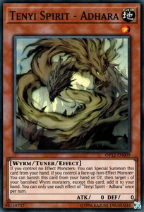 Tenyi Spirit - Adhara - OTS Tournament Pack 12 (OP12) #OP12-EN009 - Super Rare YuGiOh Trading Card