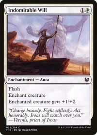 Indomitable Will - Theros Beyond Death (THB) #25 - Common Magic: The Gathering Trading Card