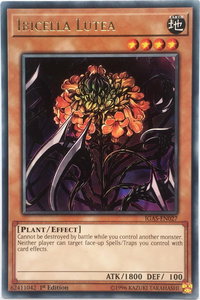 Ibicella Lutea - Ignition Assault (IGAS) #IGAS-EN027 - Rare YuGiOh Trading Card