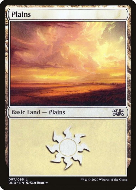 Plains - Unsanctioned Magic: The Gathering trading card