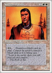 Northern Paladin - Summer Magic (SUM) #29 - Rare Magic: The Gathering Trading Card