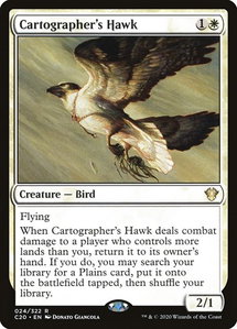 Cartographer's Hawk - Commander 2020 (C20) #24 - Rare Magic: The Gathering Trading Card