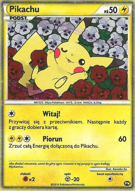 Pikachu (Polish) - Pikachu World Collection Promos Pokémon trading card