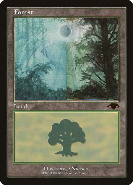 Forest - Guru - Guru Lands Magic: The Gathering trading card