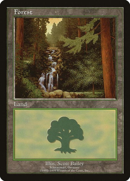 Forest - Schwarzwald trading card from European Lands Forest - Schwarzwald - European Lands Magic: The Gathering trading card