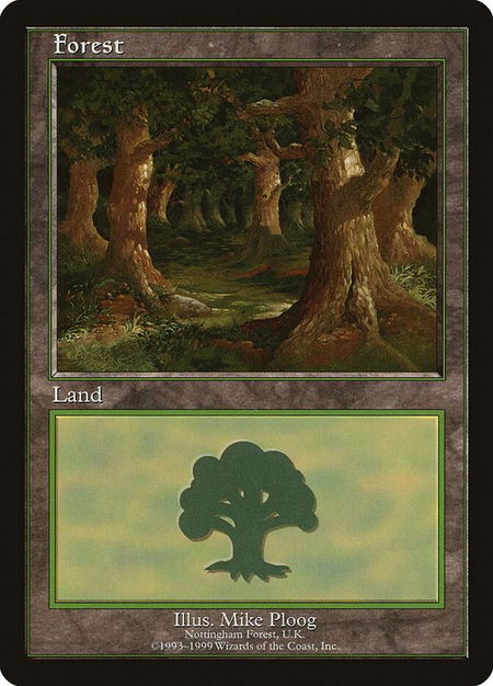 Forest - Nottingham trading card from European Lands Forest - Nottingham - European Lands Magic: The Gathering trading card