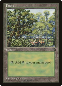 Forest (1996) - Arena Promos (ARENA) #5 - Promo Magic: The Gathering Trading Card