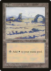 Plains (1996) - Arena Promos (ARENA) #1 - Promo Magic: The Gathering Trading Card