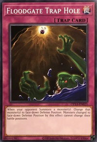 Floodgate Trap Hole - OTS Tournament Pack 13 (OP13) #OP13-EN025 - Common / Short Print YuGiOh Trading Card