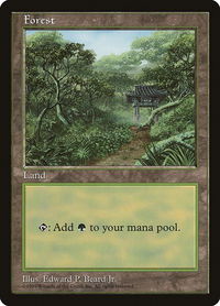 Forest - Clear Pack (Beard, Jr.) - APAC Lands (APAC) #11 - Promo Magic: The Gathering Trading Card