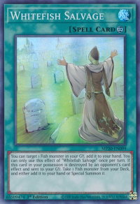 Whitefish Salvage - 2020 Tin of Lost Memories (MP20) #MP20-EN099 - Super Rare YuGiOh Trading Card