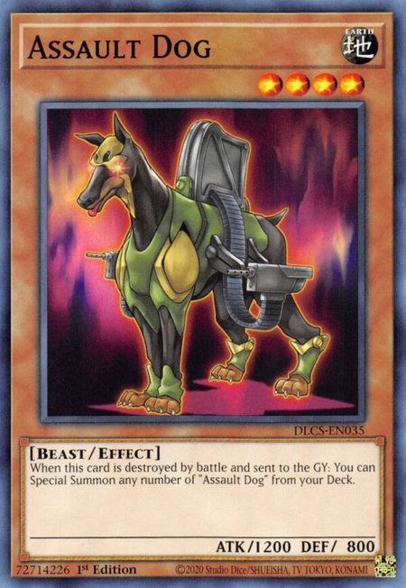 Assault Dog trading card from Dragons of Legend: The Complete Series Assault Dog - Dragons of Legend: The Complete Series YuGiOh trading card