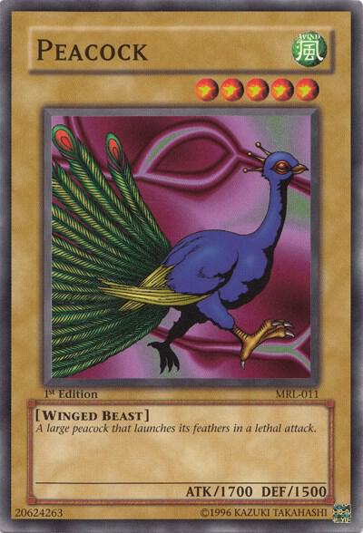 Peacock trading card from Magic Ruler Peacock - Magic Ruler YuGiOh trading card