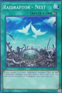 Raidraptor - Nest - OTS Tournament Pack 14 (OP14) #OP14-EN023 - Common / Short Print YuGiOh Trading Card