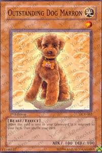 Outstanding Dog Marron trading card from Dark Crisis Outstanding Dog Marron - Dark Crisis YuGiOh trading card