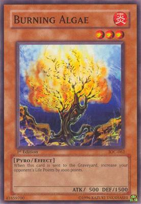 Burning Algae trading card from Invasion of Chaos Burning Algae - Invasion of Chaos YuGiOh trading card