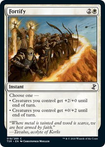 Fortify - Time Spiral: Remastered (TSR) #18 - Common Magic: The Gathering Trading Card