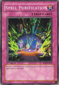 Spell Purification - Rise of Destiny (RDS) #RDS-EN058 - Common / Short Print YuGiOh Trading Card
