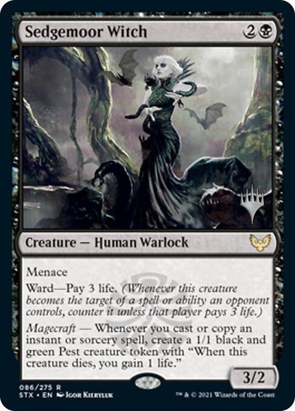 Sedgemoor Witch trading card from Promo Pack: Strixhaven Sedgemoor Witch - Promo Pack: Strixhaven Magic: The Gathering trading card
