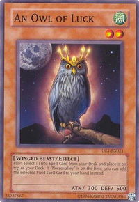 An Owl of Luck - Dark Revelation Volume 1 (DR1) #DR1-EN021 - Common / Short Print YuGiOh Trading Card
