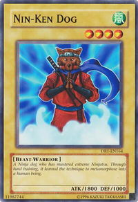 Nin-Ken Dog - Dark Revelation Volume 1 (DR1) #DR1-EN164 - Common / Short Print YuGiOh Trading Card