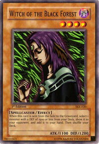 Witch of the Black Forest - Starter Deck: Kaiba Evolution (SKE) #SKE-020 - Common / Short Print YuGiOh Trading Card