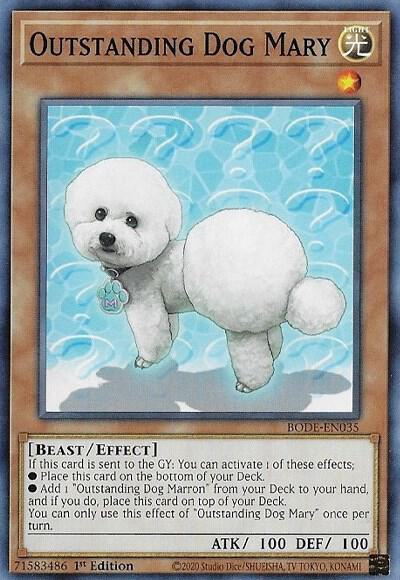 Outstanding Dog Mary - Burst of Destiny YuGiOh trading card