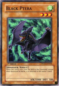 Black Ptera - Power of the Duelist #POTD-EN018 - Common / Short Print YuGiOh Trading Card