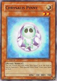 Chrysalis Pinny trading card from Tactical Evolution Chrysalis Pinny - Tactical Evolution YuGiOh trading card