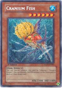 Cranium Fish trading card from Tactical Evolution Cranium Fish - Tactical Evolution YuGiOh trading card