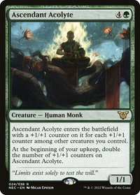 Ascendant Acolyte - Commander: Kamigawa: Neon Dynasty (NEC) #24 - Rare Magic: The Gathering Trading Card