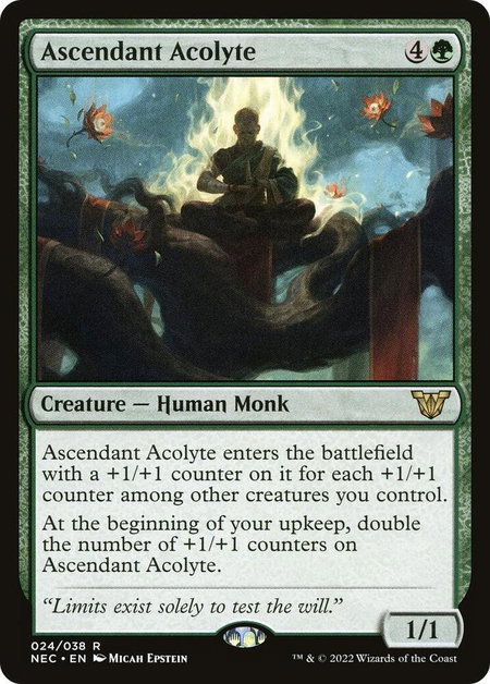 Ascendant Acolyte - Commander: Kamigawa: Neon Dynasty Magic: The Gathering trading card