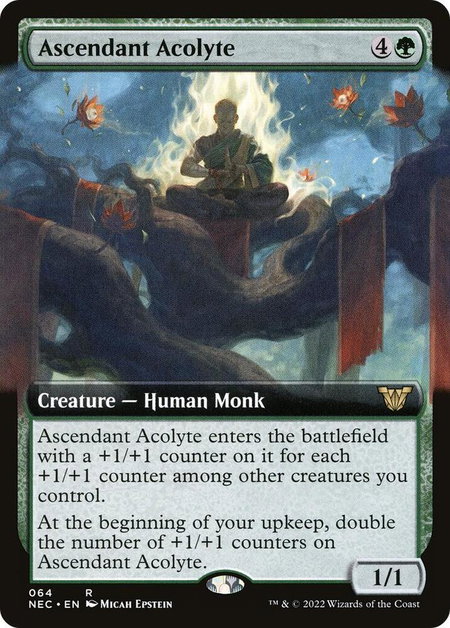 Ascendant Acolyte (Extended Art) - Commander: Kamigawa: Neon Dynasty Magic: The Gathering trading card