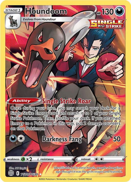 Houndoom - SWSH09: Brilliant Stars Trainer Gallery Pokémon trading card