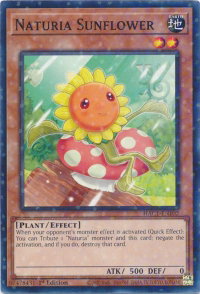 Naturia Sunflower (Duel Terminal) - Hidden Arsenal: Chapter 1 (HAC1) #HAC1-EN102 - Duel Terminal Technology Common YuGiOh Trading Card