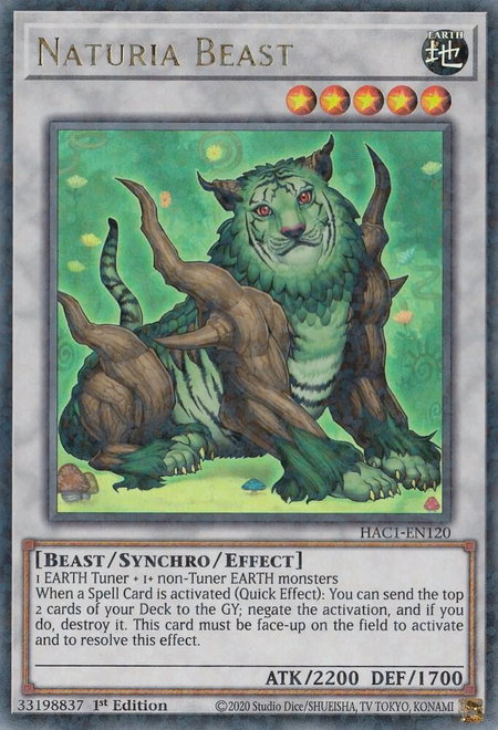 Naturia Beast (Duel Terminal) - Hidden Arsenal: Chapter 1 YuGiOh trading card