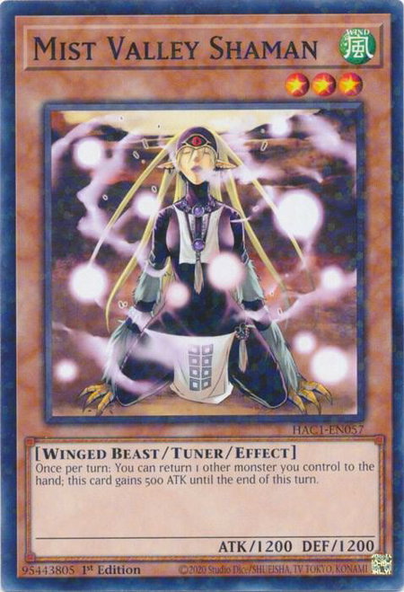 Mist Valley Shaman (Duel Terminal) trading card from Hidden Arsenal: Chapter 1 Mist Valley Shaman (Duel Terminal) - Hidden Arsenal: Chapter 1 YuGiOh trading card
