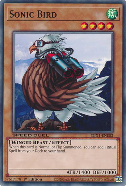 Sonic Bird trading card from Speed Duel GX: Duel Academy Box Sonic Bird - Speed Duel GX: Duel Academy Box YuGiOh trading card