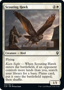 Scouting Hawk - Commander Legends: Battle for Baldur's Gate (CLB) #41 - Common Magic: The Gathering Trading Card