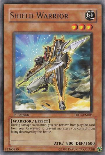 Shield Warrior - The Duelist Genesis YuGiOh trading card