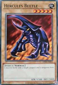 Hercules Beetle - OTS Tournament Pack 19 (OP19) #OP19-EN012 - Common / Short Print YuGiOh Trading Card