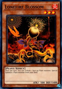 Lonefire Blossom - OTS Tournament Pack 19 (OP19) #OP19-EN018 - Common / Short Print YuGiOh Trading Card